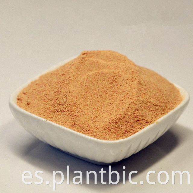 2021 Nuevo producto: Laro natural Gracile Brongn Extracto 100: 1 Powder